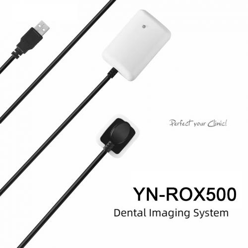 Intraoral digital X-Ray imaging system